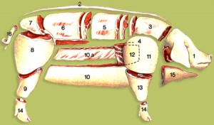Présentation des différents morceaux du porc